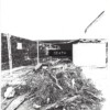 Tod